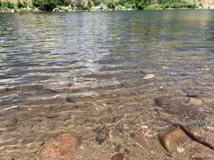 A Close Up Image Of A Bank On The Clark Fork River